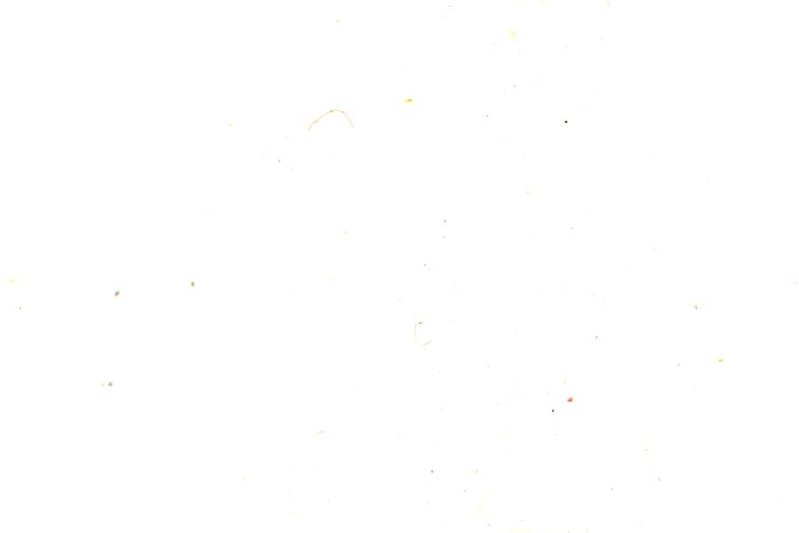 Image 181